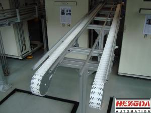 雙排flexlink,柔性輸送線(xiàn)